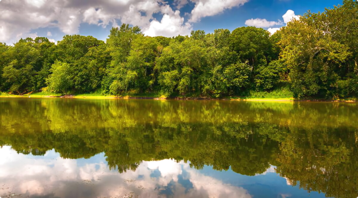 Nossos serviços de aluguel de carros oferecem uma seleção diversificada de veículos em Leesburg.